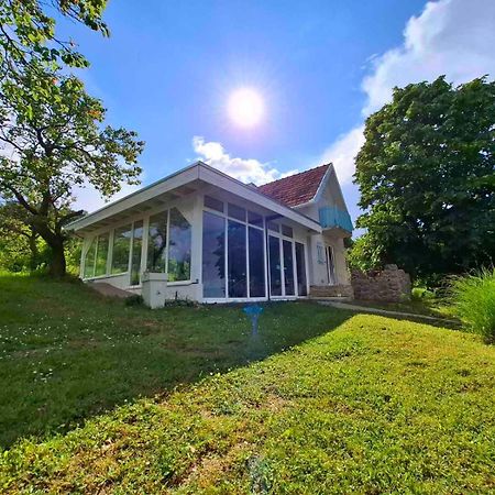 Honey Hill Apartment Fruska Gora Cerevic Экстерьер фото