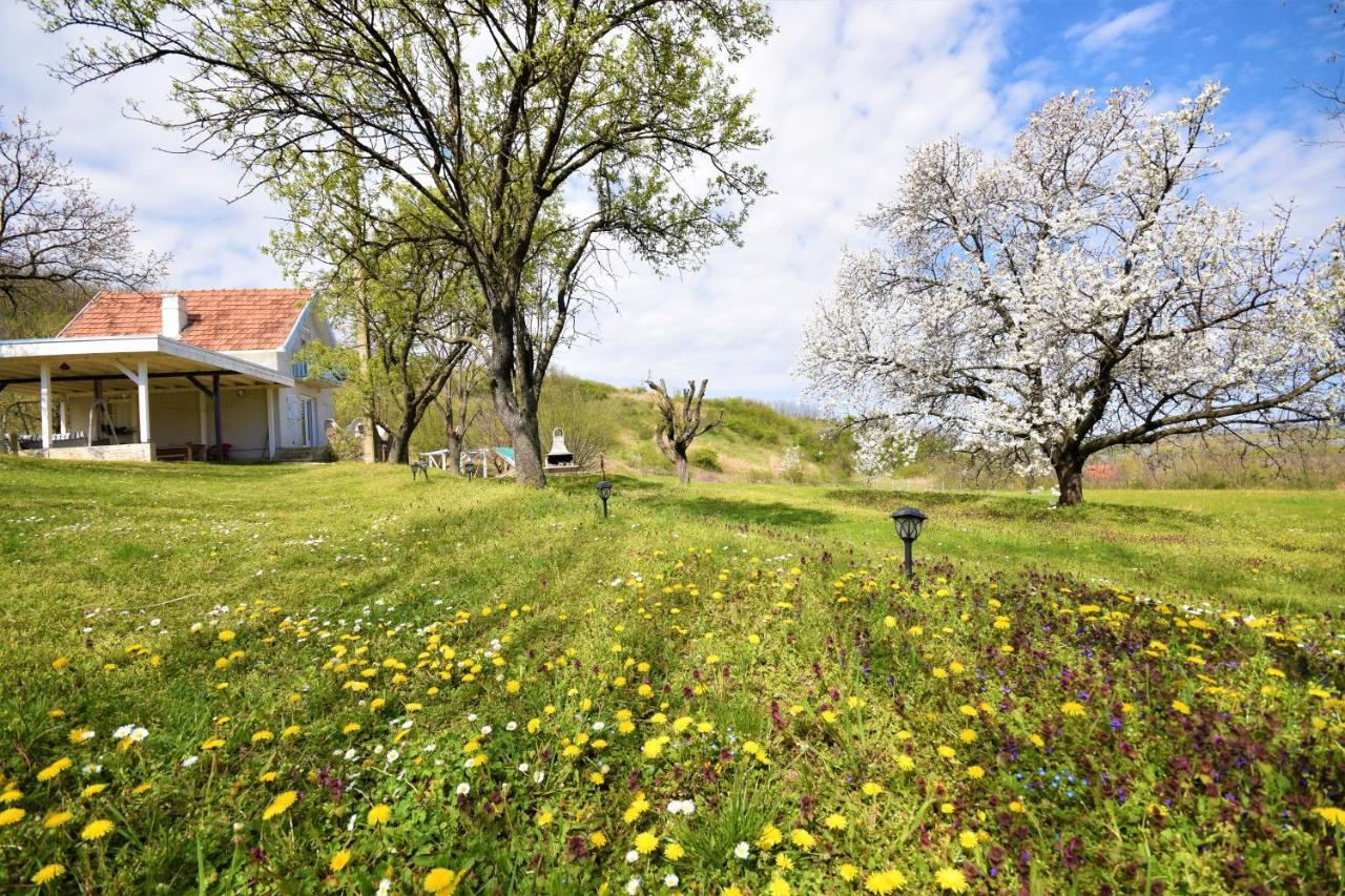 Honey Hill Apartment Fruska Gora Cerevic Экстерьер фото