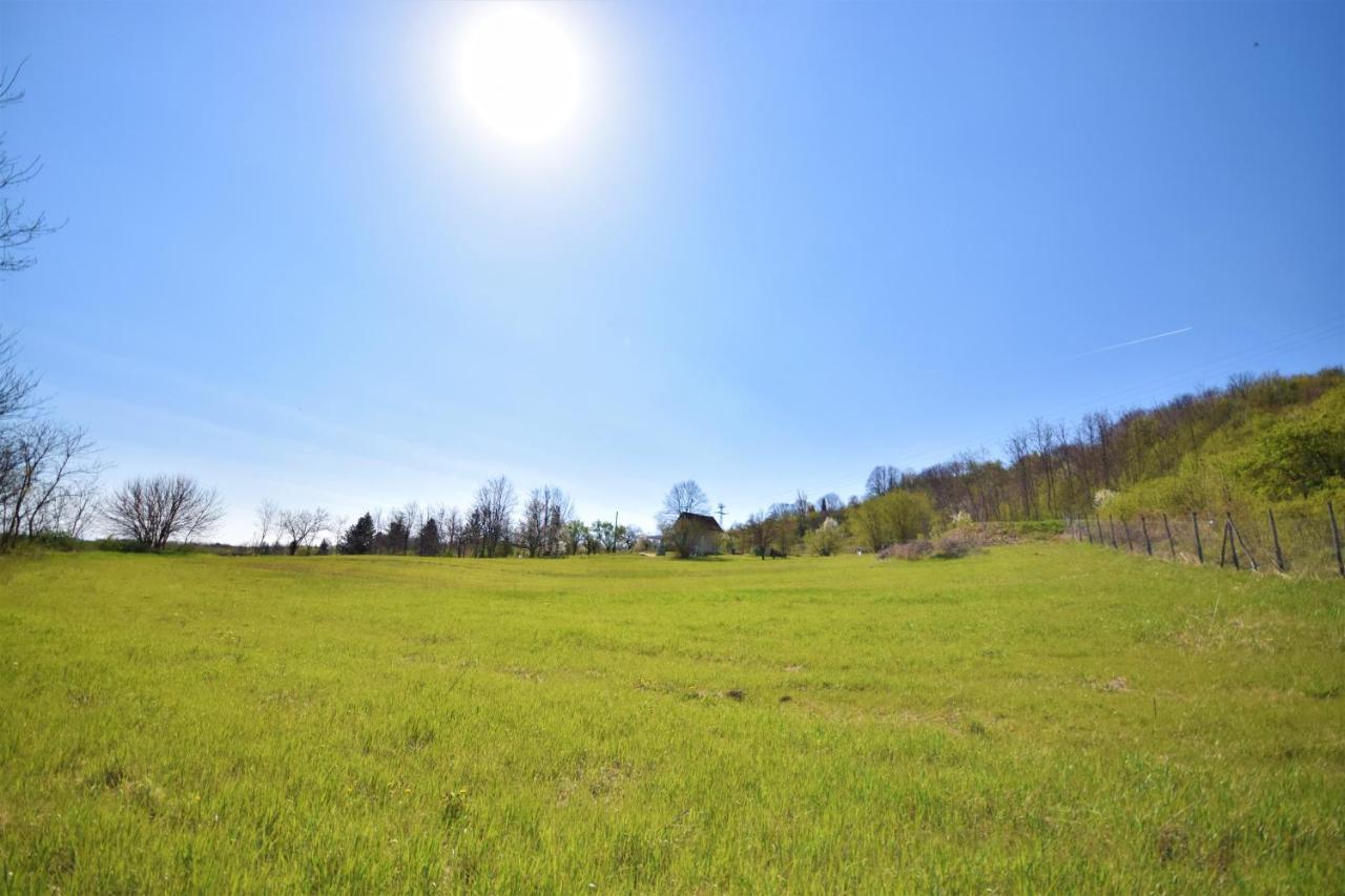 Honey Hill Apartment Fruska Gora Cerevic Экстерьер фото