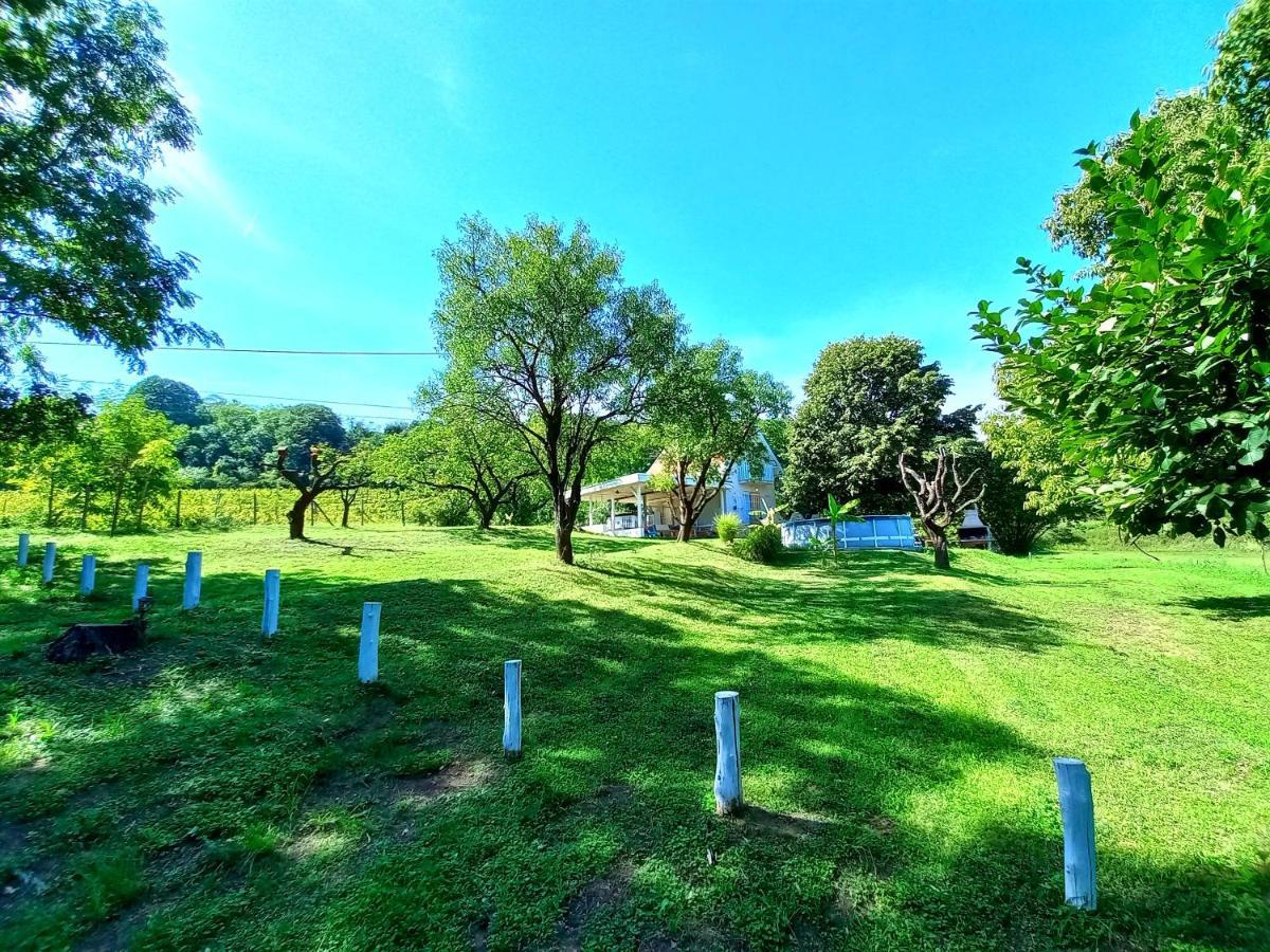 Honey Hill Apartment Fruska Gora Cerevic Экстерьер фото